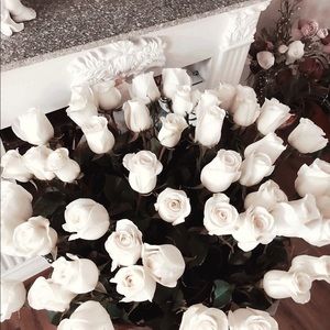 Meet your Posher, Elysia